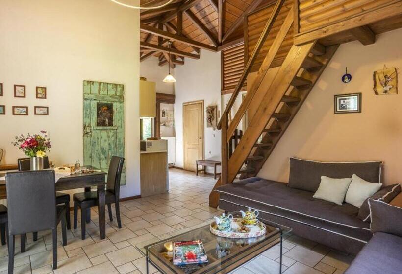 خانه 2 خوابه, Ninemia Stay& Play