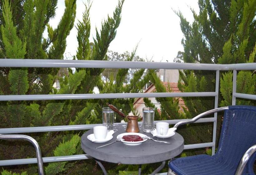 标准间带阳台, Filoxenia