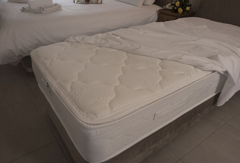 标准单人间, Filoxenia