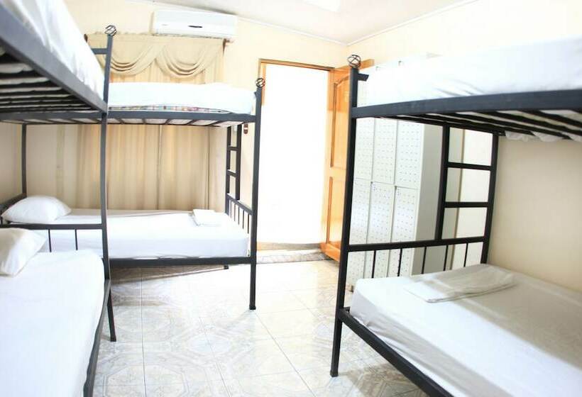سرير فى غرفة مشتركه, Hostel Backpackers La Fortuna