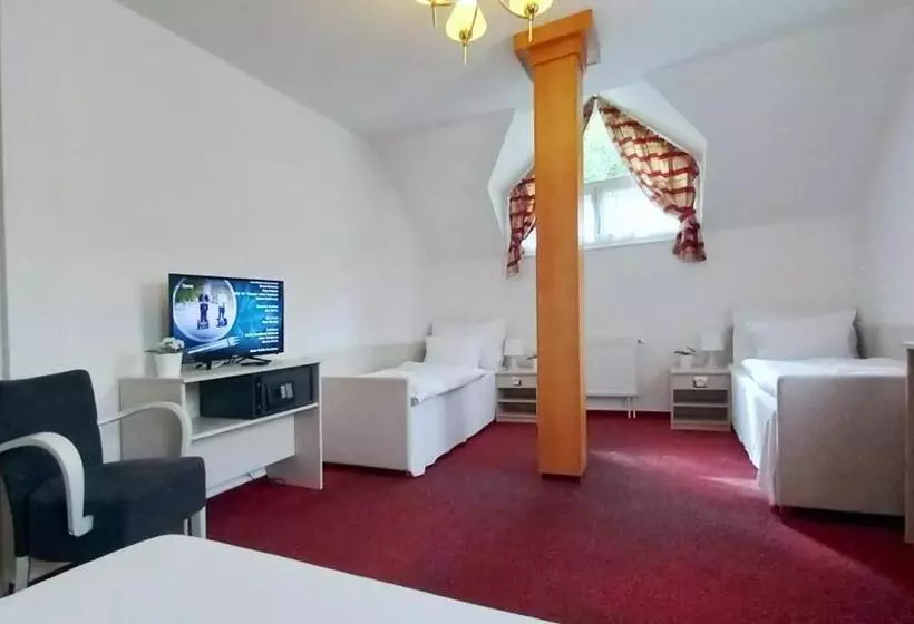 Comfort Kolmen Hengen Huone, Hradec