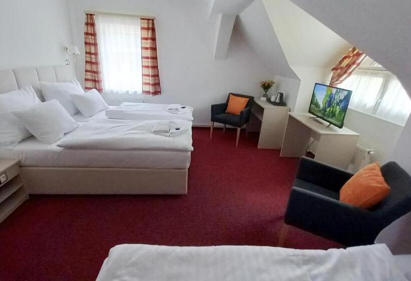 חדר סטנדרט לשלושה, Hradec