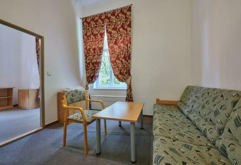 חדר סטנדרט, Mezní Louka