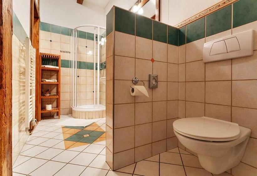 Номер Стандарт Индивидуальный, Penzion U Kriveho Psa