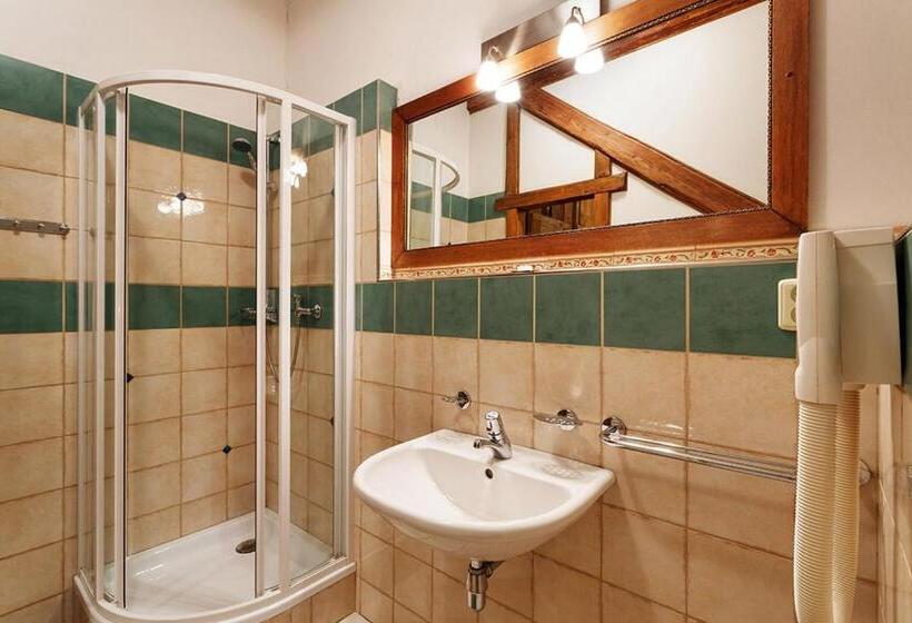 Номер Стандарт Индивидуальный, Penzion U Kriveho Psa