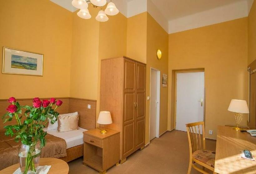 חדר סטנדרט יחיד, Savoy Spa & Kur