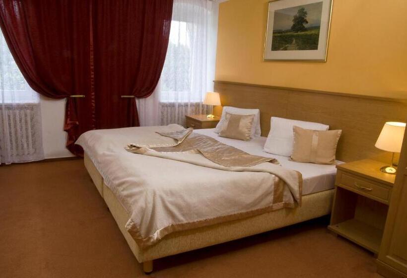 חדר סטנדרט, Savoy Spa & Kur