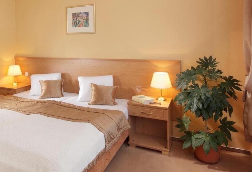 חדר סטנדרט, Savoy Spa & Kur