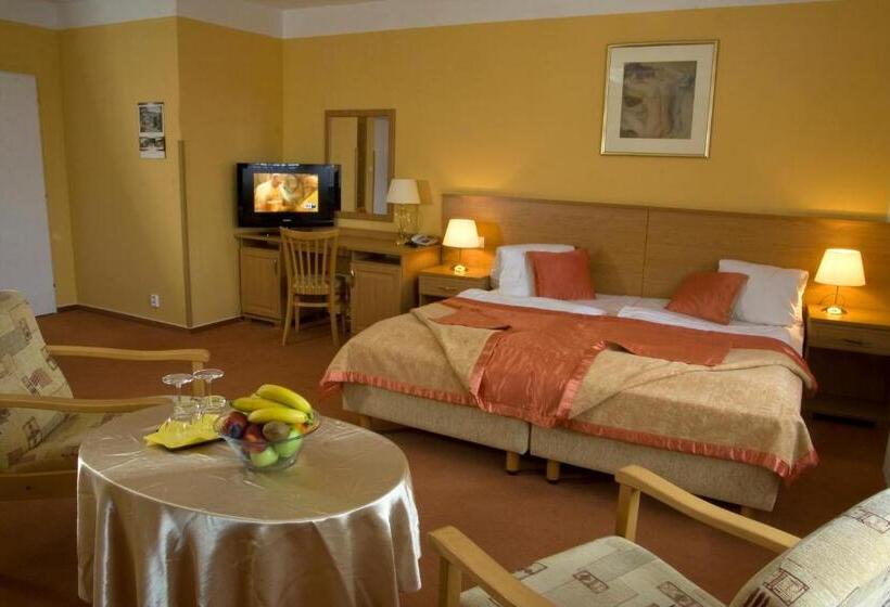 חדר קומפורט, Savoy Spa & Kur