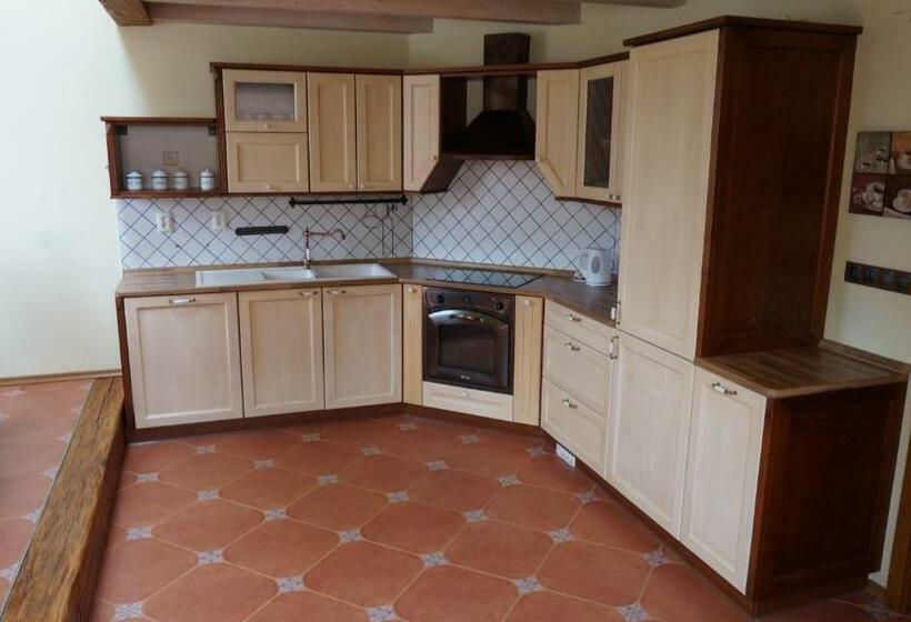 带1个卧室的带阳台的公寓, Vratislavsky Dum