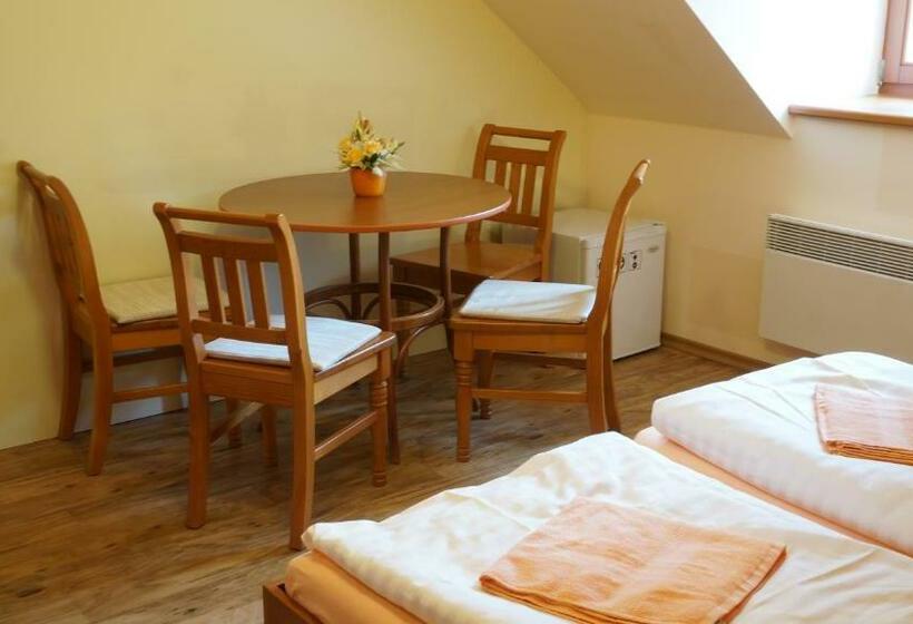 经典家庭房间, Vratislavsky Dum