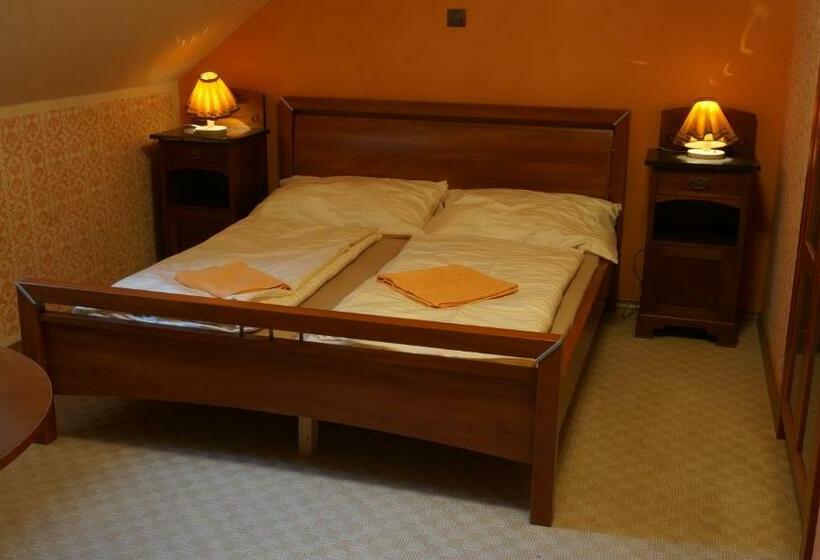 带1个卧室的带阳台的公寓, Vratislavsky Dum