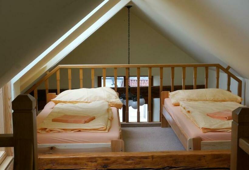 带1个卧室的带阳台的公寓, Vratislavsky Dum