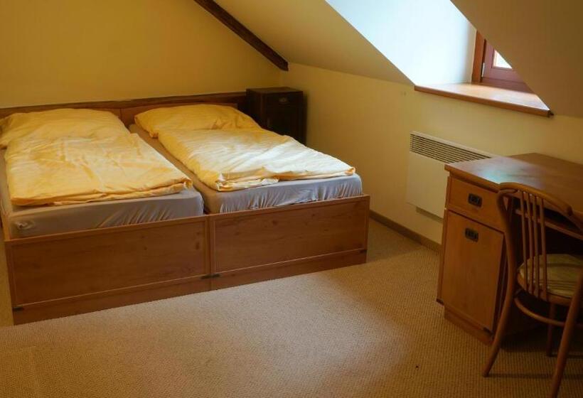 带1个卧室的带阳台的公寓, Vratislavsky Dum