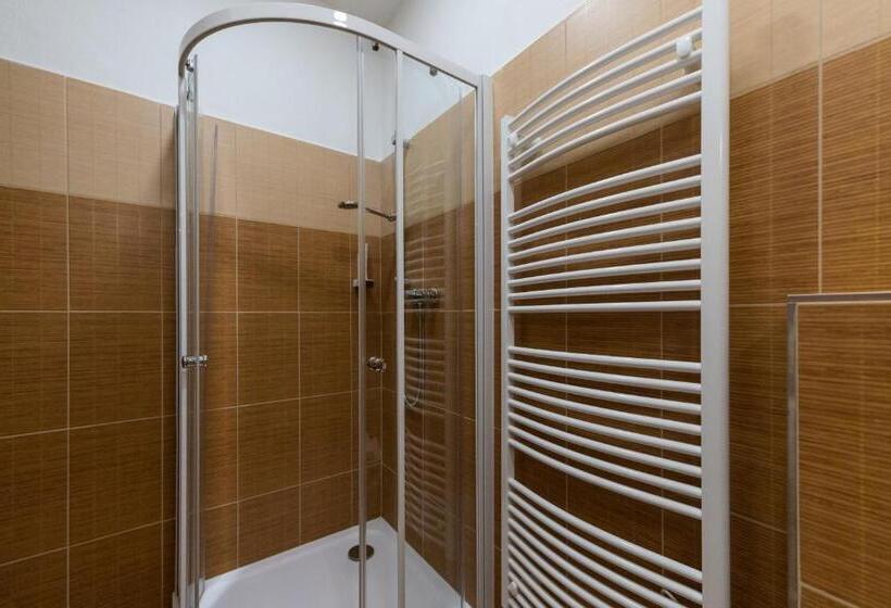 带1个卧室的公寓, Vratislavsky Dum