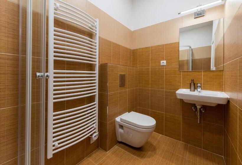 带1个卧室的公寓, Vratislavsky Dum