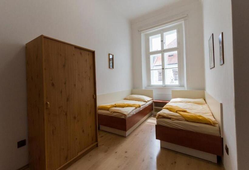 带1个卧室的公寓, Vratislavsky Dum