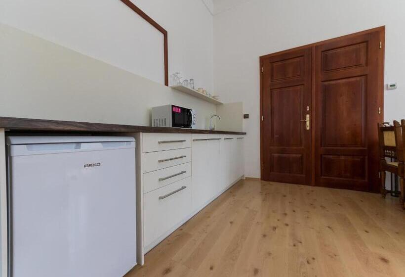 带1个卧室的公寓, Vratislavsky Dum