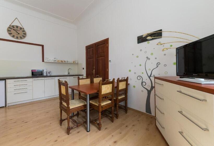 带1个卧室的公寓, Vratislavsky Dum