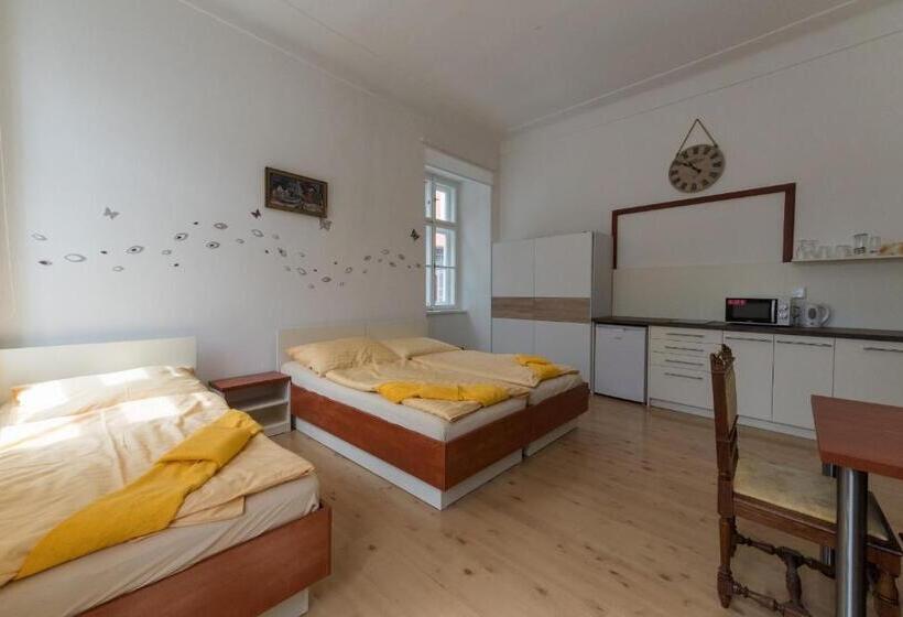 带1个卧室的公寓, Vratislavsky Dum