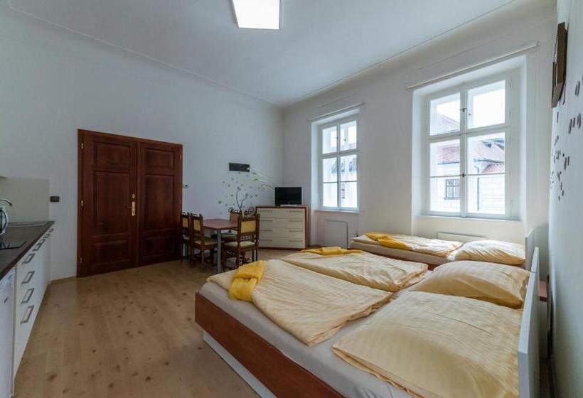 带1个卧室的公寓, Vratislavsky Dum