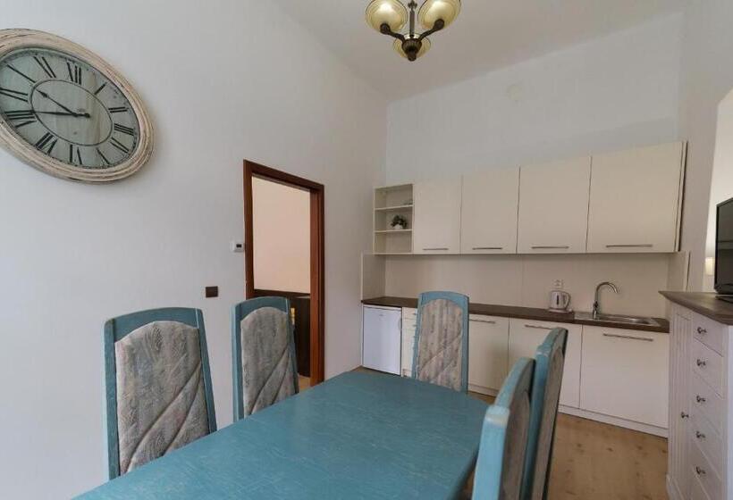 带1个卧室的公寓, Vratislavsky Dum