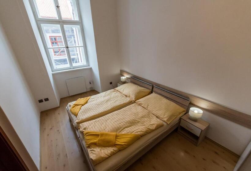 带1个卧室的公寓, Vratislavsky Dum