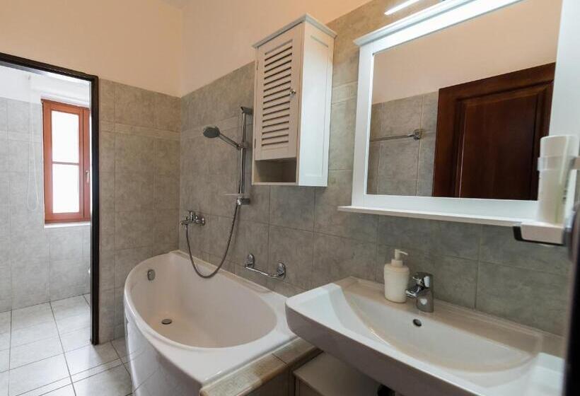 带1个卧室的公寓, Vratislavsky Dum