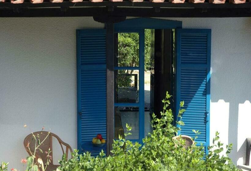 Номер Стандарт Вид на Сад, Skites Hotel Bungalows