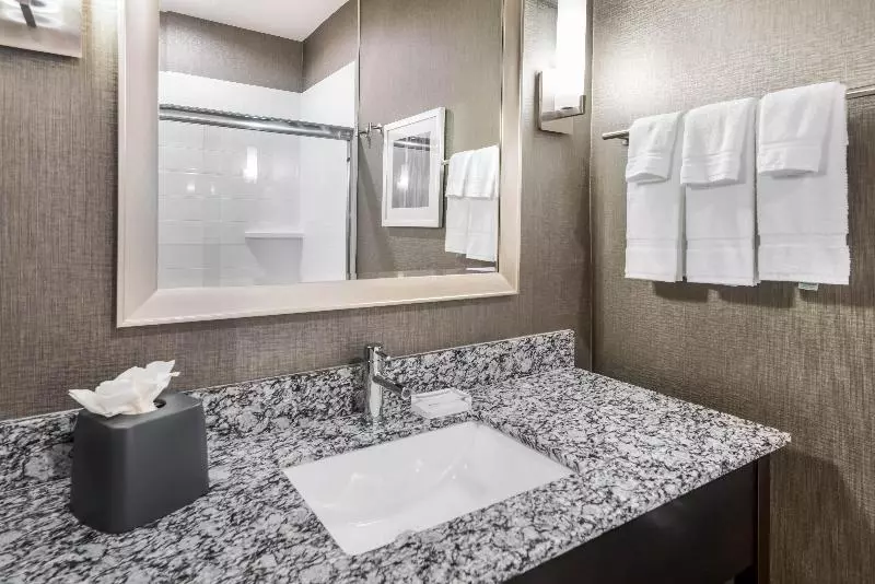 キングサイズベッドのスイートルーム, Holiday Inn Hotel & Suites Silicon Valley – Milpitas, An Ihg
