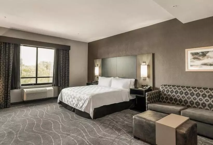 キングサイズベッドのスイートルーム, Holiday Inn Hotel & Suites Silicon Valley – Milpitas, An Ihg
