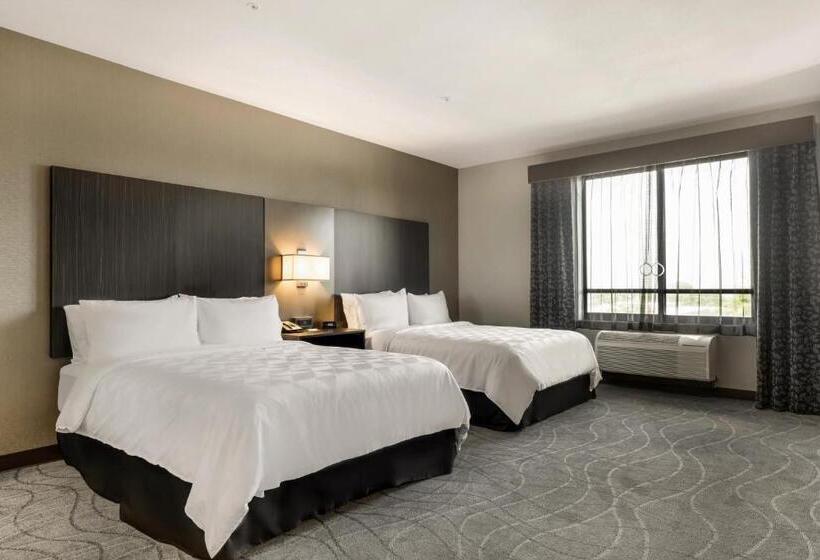 جناح سرير ملكى, Holiday Inn Hotel & Suites Silicon Valley – Milpitas, An Ihg