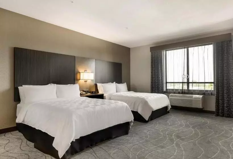 クイーンサイズベッドのスイートルーム, Holiday Inn Hotel & Suites Silicon Valley – Milpitas, An Ihg