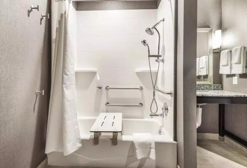クイーンサイズベッドのスイートルーム, Holiday Inn Hotel & Suites Silicon Valley – Milpitas, An Ihg