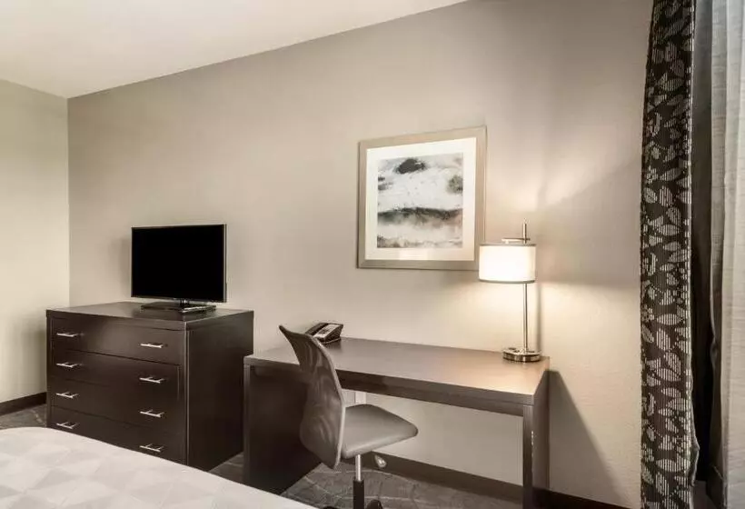 スタンダードスタジオ, Holiday Inn Hotel & Suites Silicon Valley – Milpitas, An Ihg