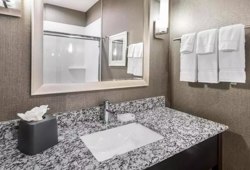 スタンダードスタジオ, Holiday Inn Hotel & Suites Silicon Valley – Milpitas, An Ihg
