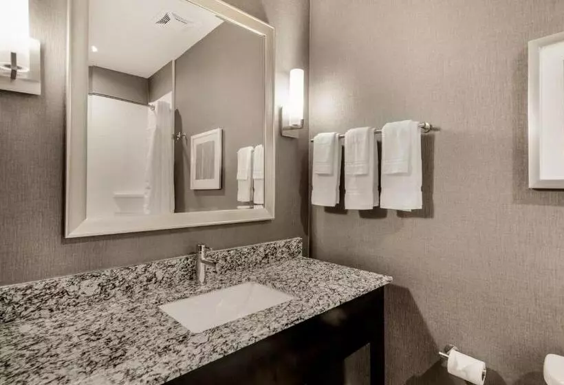スタンダードスタジオ, Holiday Inn Hotel & Suites Silicon Valley – Milpitas, An Ihg
