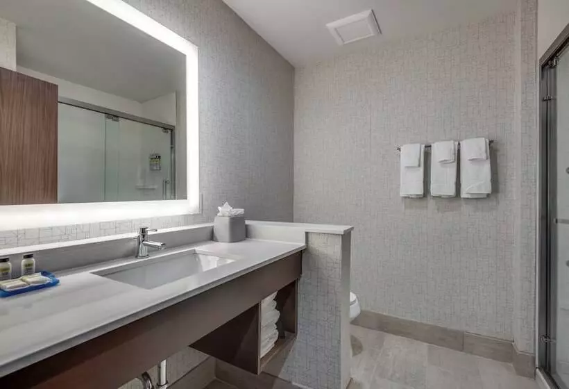 سوییت, Holiday Inn Express & Suites Dallas North   Addison, An Ihg