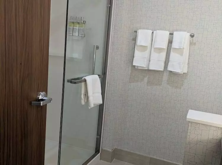 سوییت, Holiday Inn Express & Suites Dallas North   Addison, An Ihg