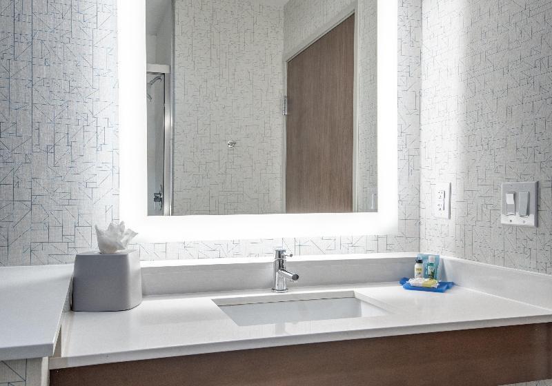 Pokój Standard Łóżko King Size, Holiday Inn Express & Suites Dallas North   Addison, An Ihg