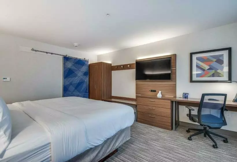 اتاق استاندارد با تخت بزرگ, Holiday Inn Express & Suites Dallas North   Addison, An Ihg