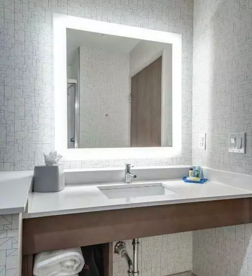 اتاق استاندارد با تخت بزرگ, Holiday Inn Express & Suites Dallas North   Addison, An Ihg