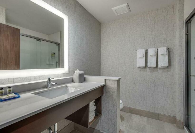 Люкс Кровать Кинг, Holiday Inn Express & Suites Dallas North Addison, An Ihg
