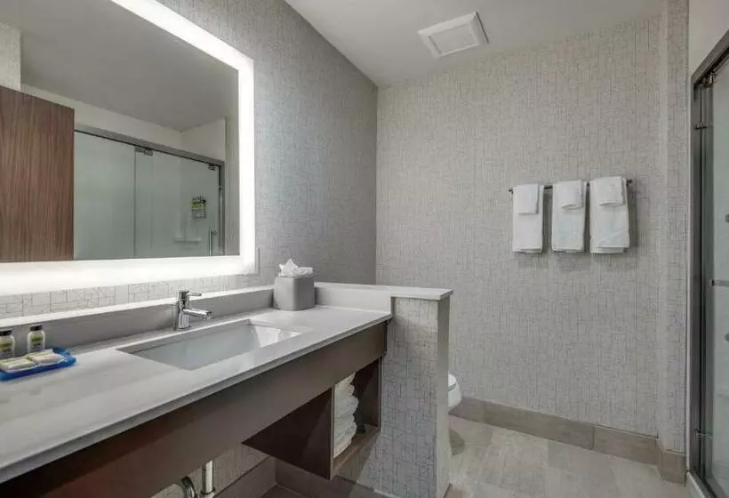 سوئیت با تخت بزرگ, Holiday Inn Express & Suites Dallas North   Addison, An Ihg