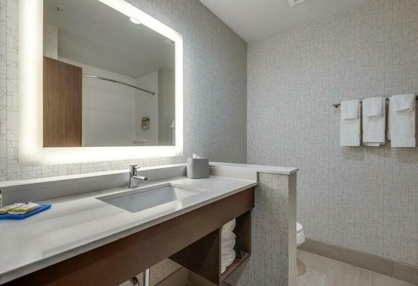 Люкс Кровать Кинг, Holiday Inn Express & Suites Dallas North Addison, An Ihg