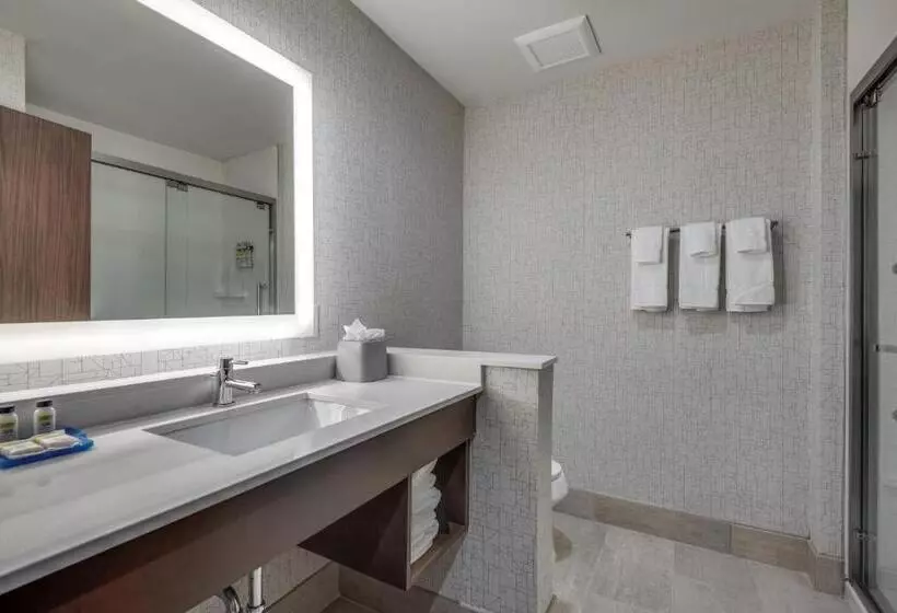 سوییت, Holiday Inn Express & Suites Dallas North   Addison, An Ihg