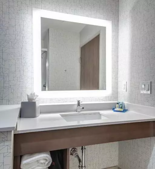 اتاق استاندارد با تخت بزرگ برای معلولان, Holiday Inn Express & Suites Dallas North   Addison, An Ihg
