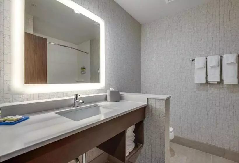 اتاق استاندارد با تخت بزرگ برای معلولان, Holiday Inn Express & Suites Dallas North   Addison, An Ihg
