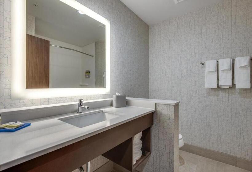 Номер Стандарт Адаптированный для Инвалидов, Holiday Inn Express & Suites Dallas North Addison, An Ihg