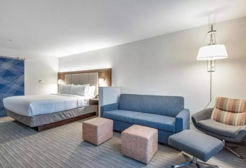سوئیت برای معلولان, Holiday Inn Express & Suites Dallas North   Addison, An Ihg